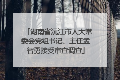 湖南省沅江市人大常委会党组书记、主任孟智勇接受审查调查