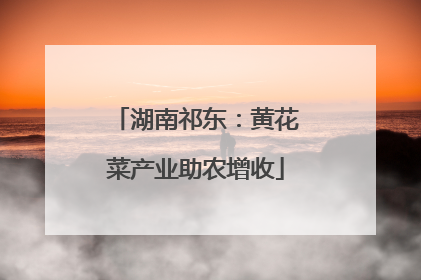 湖南祁东：黄花菜产业助农增收