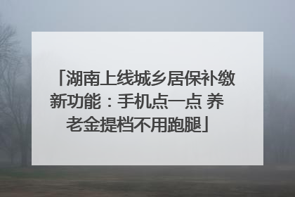 湖南上线城乡居保补缴新功能：手机点一点 养老金提档不用跑腿