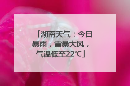 湖南天气：今日暴雨，雷暴大风，气温低至22℃