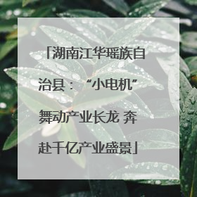 湖南江华瑶族自治县：“小电机”舞动产业长龙 奔赴千亿产业盛景