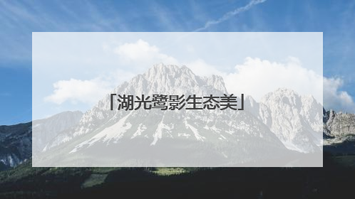 湖光鹭影生态美