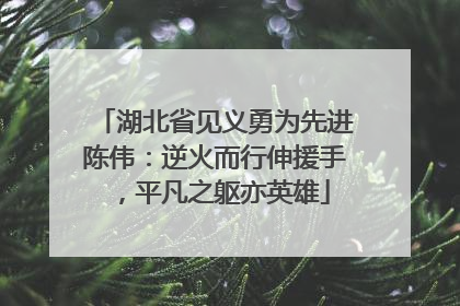 湖北省见义勇为先进陈伟：逆火而行伸援手，平凡之躯亦英雄