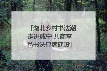 湖北乡村书法潮走进咸宁 共商李邕书法品牌建设