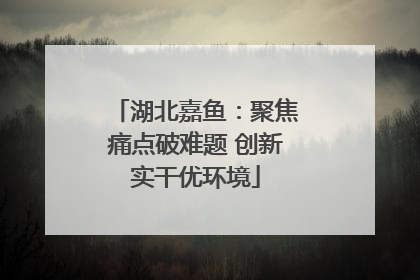 湖北嘉鱼：聚焦痛点破难题 创新实干优环境