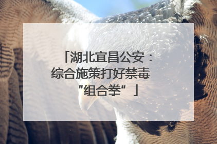 湖北宜昌公安：综合施策打好禁毒“组合拳”