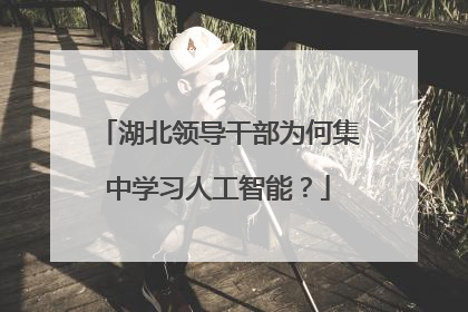 湖北领导干部为何集中学习人工智能？