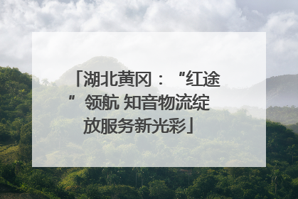 湖北黄冈：“红途”领航 知音物流绽放服务新光彩