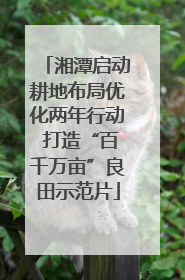湘潭启动耕地布局优化两年行动 打造“百千万亩”良田示范片