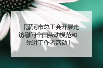 漯河市总工会开展走访慰问全国劳动模范和先进工作者活动