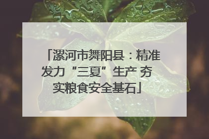 漯河市舞阳县：精准发力“三夏”生产 夯实粮食安全基石