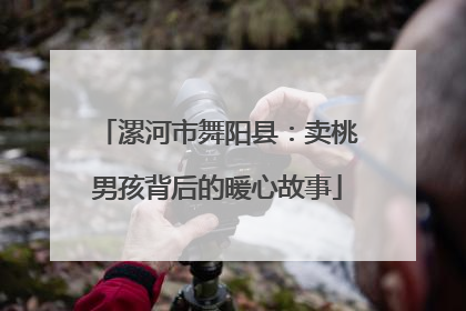 漯河市舞阳县：卖桃男孩背后的暖心故事