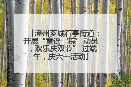 漳州芗城石亭街道：开展“童谣‘粽’动员，欢乐庆双节” 过端午，庆六一活动