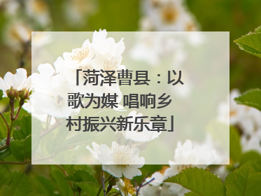 菏泽曹县：以歌为媒 唱响乡村振兴新乐章