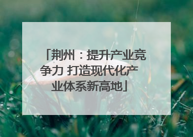 荆州：提升产业竞争力 打造现代化产业体系新高地
