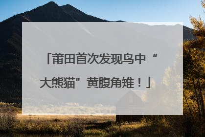 莆田首次发现鸟中“大熊猫”黄腹角雉！