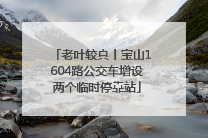 老叶较真丨宝山1604路公交车增设两个临时停靠站