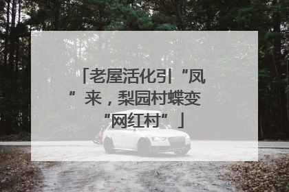 老屋活化引“凤”来，梨园村蝶变“网红村”
