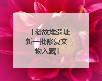 老故堆遗址新一批修复文物入藏