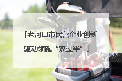 老河口市民营企业创新驱动领跑“双过半”