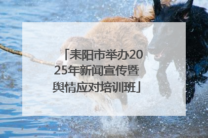 耒阳市举办2025年新闻宣传暨舆情应对培训班