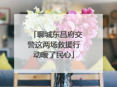 聊城东昌府交警这两场救援行动暖了民心