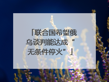 联合国希望俄乌谈判能达成“无条件停火”