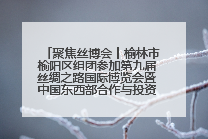 聚焦丝博会丨榆林市榆阳区组团参加第九届丝绸之路国际博览会暨中国东西部合作与投资贸易洽谈会