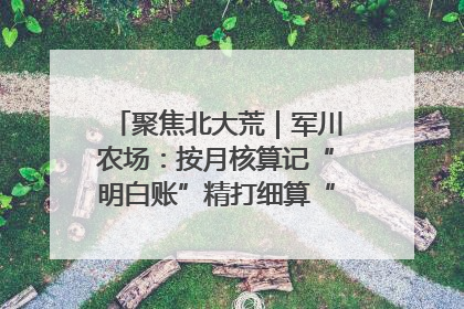 聚焦北大荒｜军川农场：按月核算记“明白账”精打细算“过紧日子”