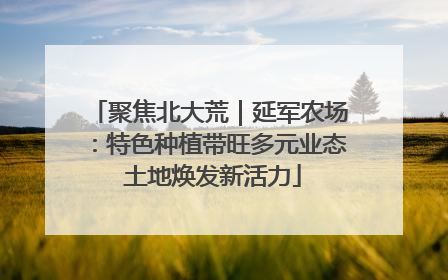 聚焦北大荒｜延军农场：特色种植带旺多元业态 土地焕发新活力