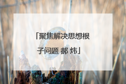 聚焦解决思想根子问题 郝 炜