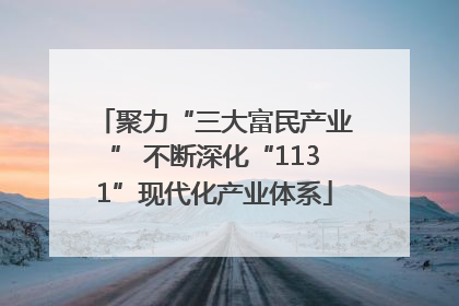 聚力“三大富民产业” 不断深化“1131”现代化产业体系