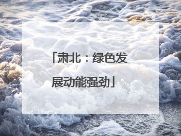 肃北：绿色发展动能强劲