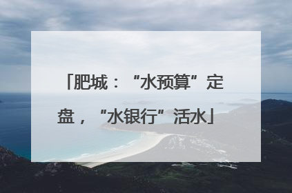 肥城：“水预算”定盘，“水银行”活水