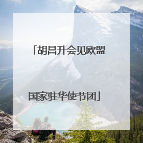 胡昌升会见欧盟国家驻华使节团