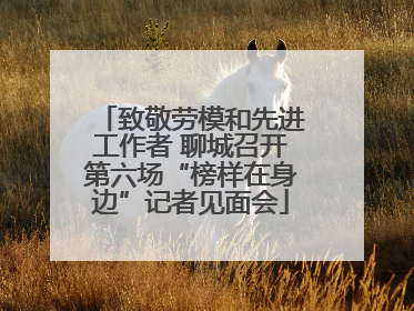 致敬劳模和先进工作者 聊城召开第六场“榜样在身边”记者见面会