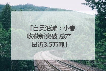 自贡沿滩：小春收获新突破 总产量近3.5万吨