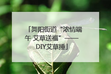 舞阳街道“浓情端午 艾草送福”——DIY艾草捶