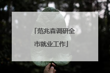 范兆森调研全市就业工作