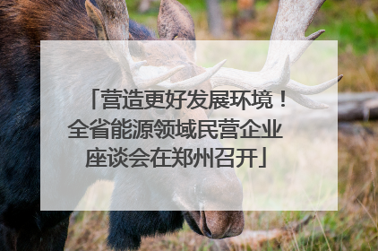 营造更好发展环境！全省能源领域民营企业座谈会在郑州召开