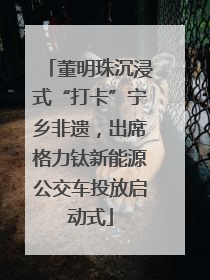 董明珠沉浸式“打卡”宁乡非遗，出席格力钛新能源公交车投放启动式