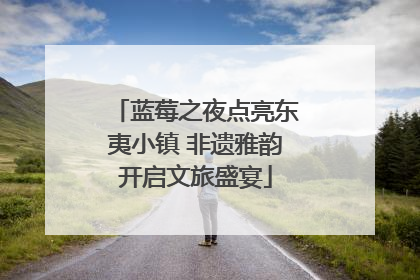 蓝莓之夜点亮东夷小镇 非遗雅韵开启文旅盛宴