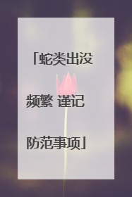 蛇类出没频繁 谨记防范事项