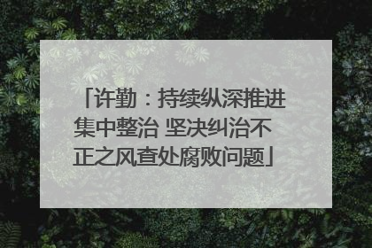 许勤：持续纵深推进集中整治 坚决纠治不正之风查处腐败问题