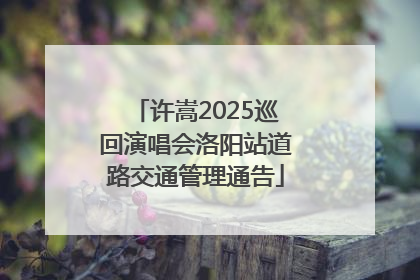 许嵩2025巡回演唱会洛阳站道路交通管理通告