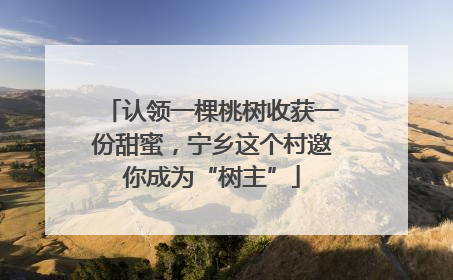 认领一棵桃树收获一份甜蜜，宁乡这个村邀你成为“树主”