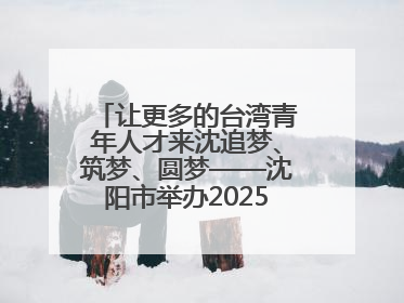让更多的台湾青年人才来沈追梦、筑梦、圆梦——沈阳市举办2025“台湾博士沈阳行”活动