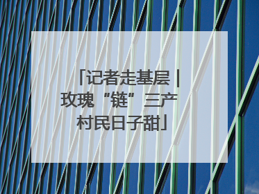 记者走基层｜玫瑰“链”三产 村民日子甜