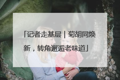 记者走基层｜菊胡同焕新，转角邂逅老味道