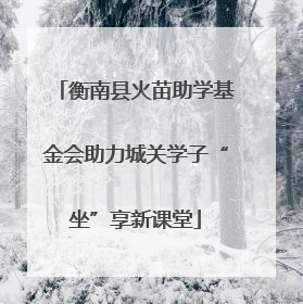 衡南县火苗助学基金会助力城关学子“坐”享新课堂